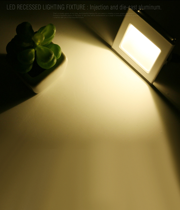 LED 마리또 계단등, 외부등 (매입형 LED 1W 일체형/화이트)